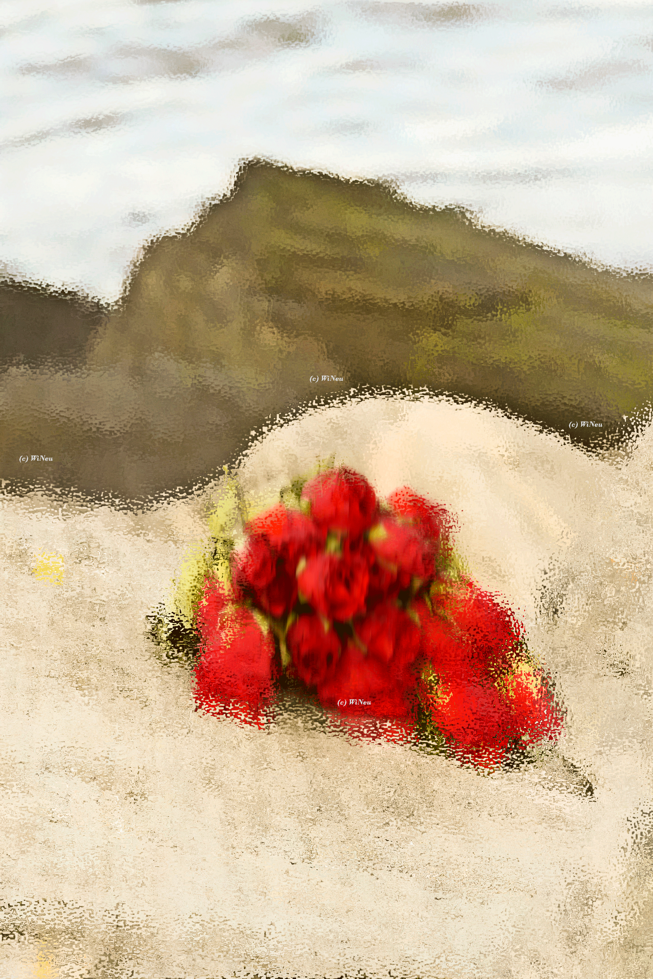 2022 Seemannsandacht WiNeu