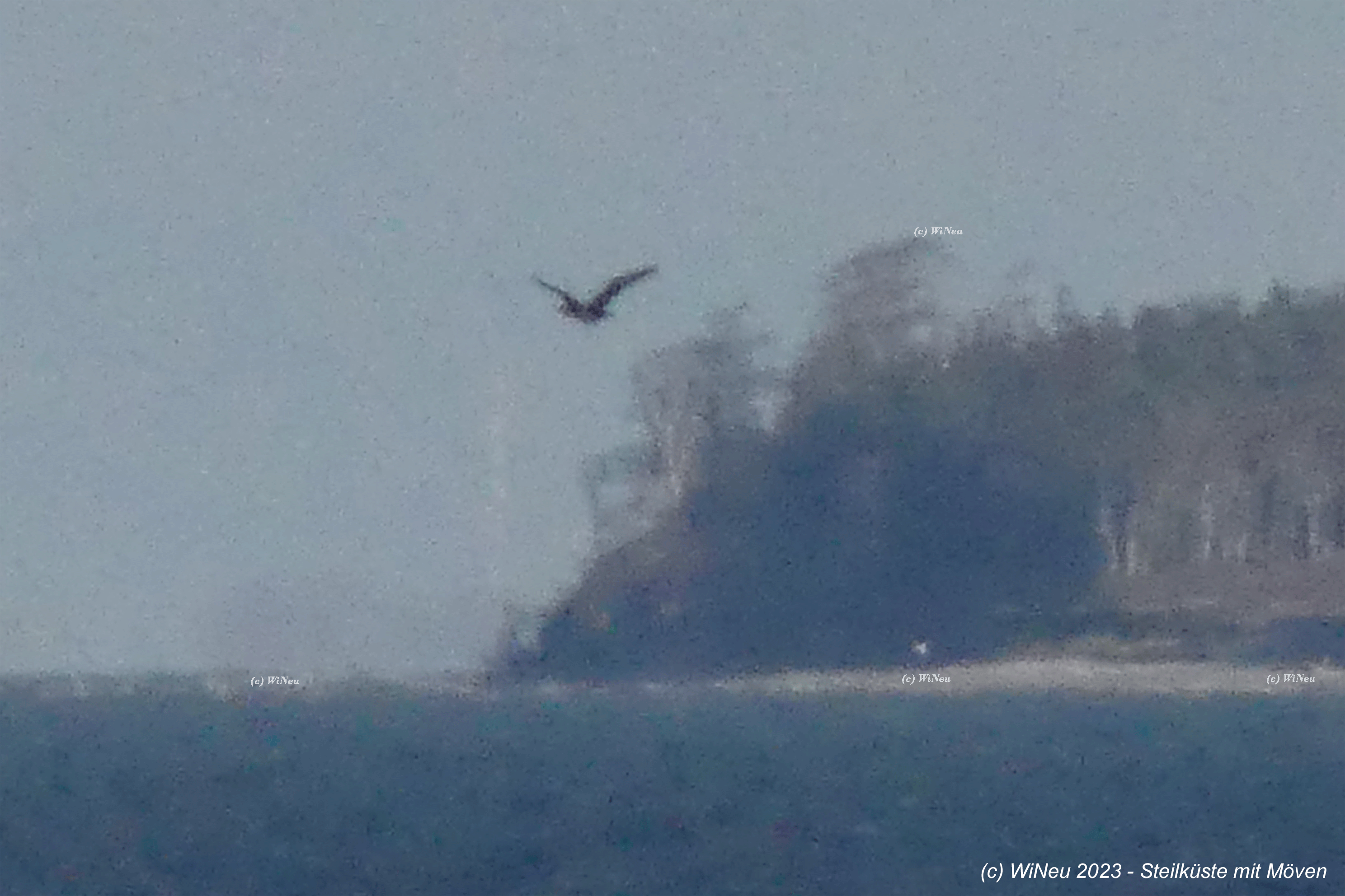 2023 Steilküste-Graal-Müritz WiNeu